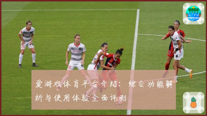 爱游戏体育平台介绍：综合功能解析与使用体验全面评测
